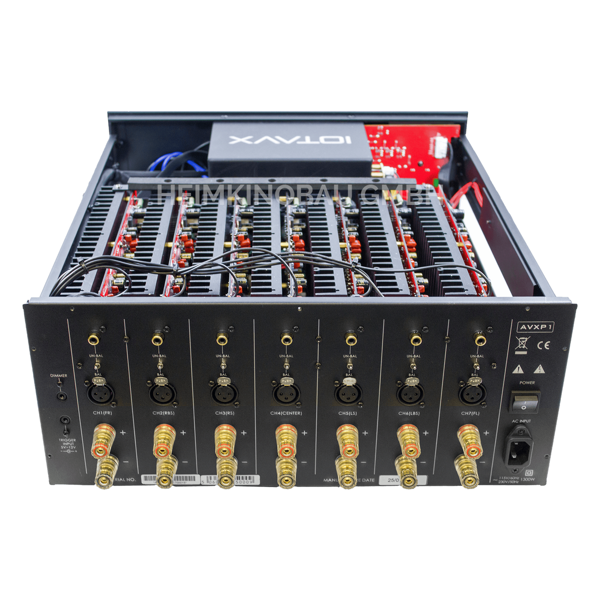 IOTAVX AVXP1 Endstufe Rückansicht offen